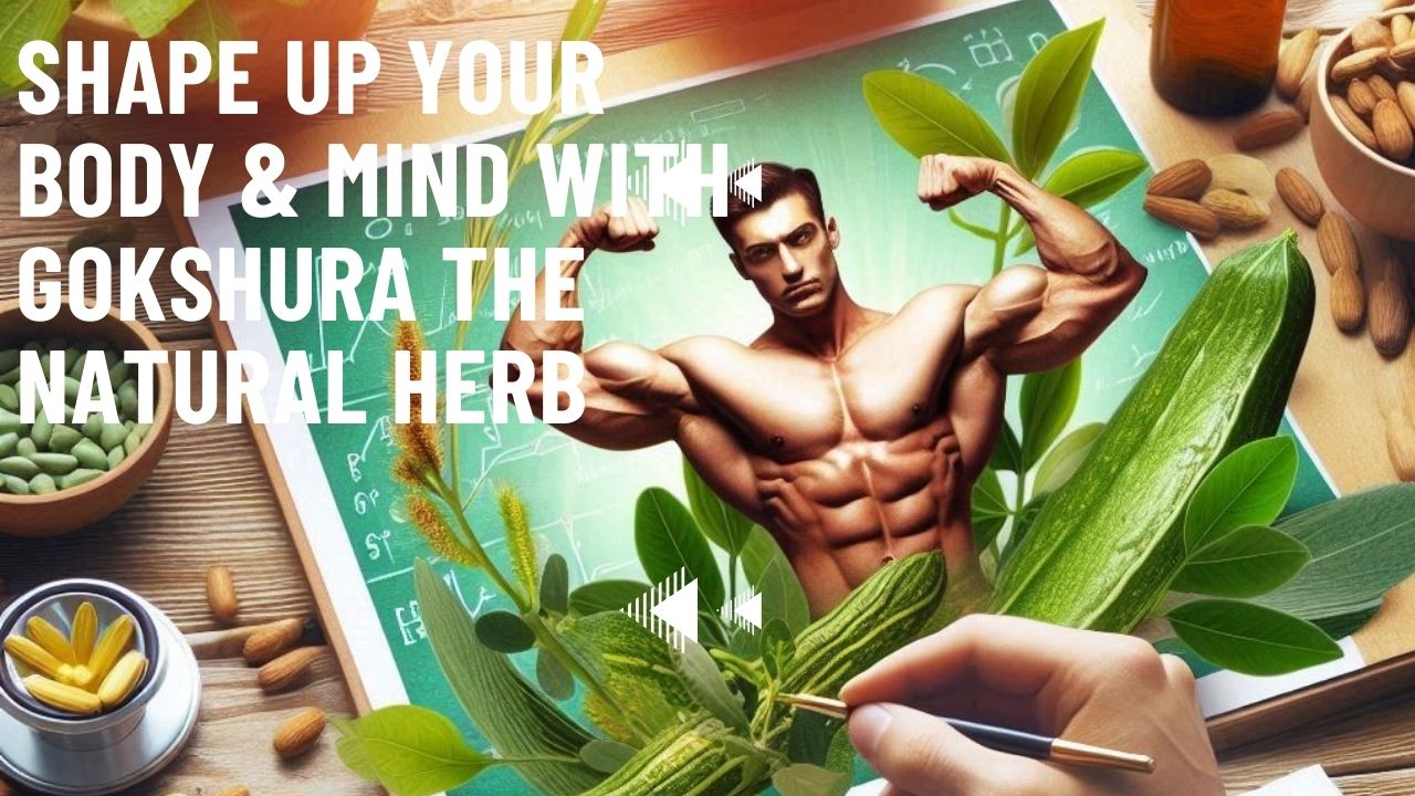 Gokshura natural herb to increase testosterone